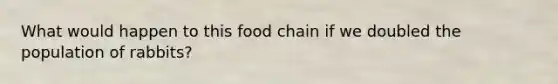 What would happen to this food chain if we doubled the population of rabbits?