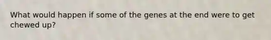 What would happen if some of the genes at the end were to get chewed up?