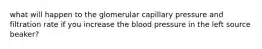 what will happen to the glomerular capillary pressure and filtration rate if you increase the blood pressure in the left source beaker?