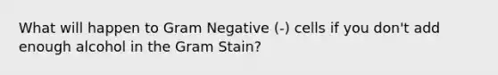 What will happen to Gram Negative (-) cells if you don't add enough alcohol in the Gram Stain?