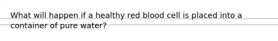 What will happen if a healthy red blood cell is placed into a container of pure water?