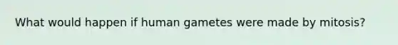 What would happen if human gametes were made by mitosis?