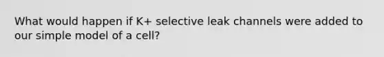 What would happen if K+ selective leak channels were added to our simple model of a cell?