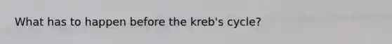 What has to happen before the kreb's cycle?