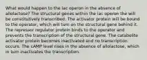 What would happen to the lac operon in the absence of allolactose? The structural genes within the lac operon the will be constitutively transcribed. The activator protein will be bound to the operator, which will turn on the structural gene behind it. The repressor regulator protein binds to the operator and prevents the transcription of the structural gene. The catabolite activator protein becomes inactivated and no transcription occurs. The cAMP level rises in the absence of allolactose, which in turn inactivates the transcription.