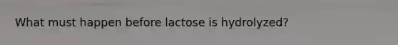 What must happen before lactose is hydrolyzed?