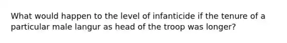 What would happen to the level of infanticide if the tenure of a particular male langur as head of the troop was longer?