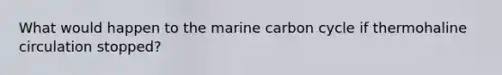 What would happen to the marine carbon cycle if thermohaline circulation stopped?