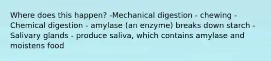 Where does this happen? -Mechanical digestion - chewing -Chemical digestion - amylase (an enzyme) breaks down starch -Salivary glands - produce saliva, which contains amylase and moistens food