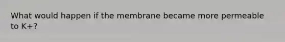 What would happen if the membrane became more permeable to K+?