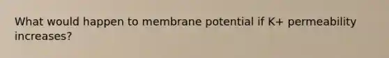 What would happen to membrane potential if K+ permeability increases?