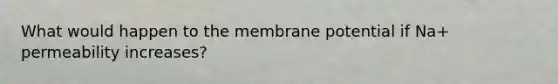 What would happen to the membrane potential if Na+ permeability increases?