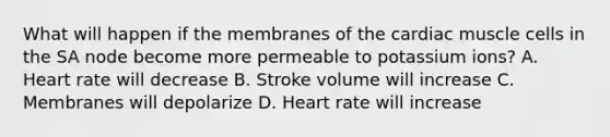 What will happen if the membranes of the cardiac muscle cells in the SA node become more permeable to potassium ions? A. Heart rate will decrease B. Stroke volume will increase C. Membranes will depolarize D. Heart rate will increase