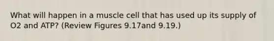 What will happen in a muscle cell that has used up its supply of O2 and ATP? (Review Figures 9.17and 9.19.)