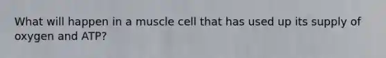 What will happen in a muscle cell that has used up its supply of oxygen and ATP?