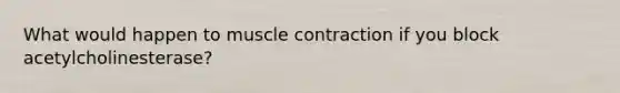 What would happen to muscle contraction if you block acetylcholinesterase?