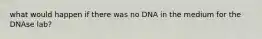 what would happen if there was no DNA in the medium for the DNAse lab?