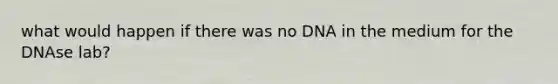 what would happen if there was no DNA in the medium for the DNAse lab?