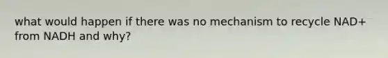 what would happen if there was no mechanism to recycle NAD+ from NADH and why?