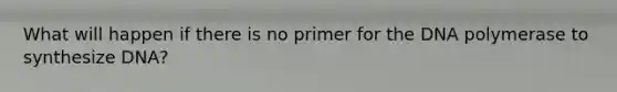 What will happen if there is no primer for the DNA polymerase to synthesize DNA?