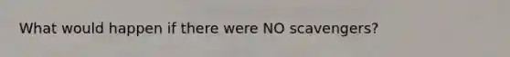 What would happen if there were NO scavengers?