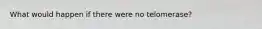 What would happen if there were no telomerase?