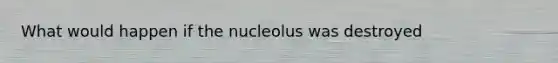 What would happen if the nucleolus was destroyed