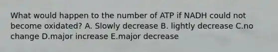 What would happen to the number of ATP if NADH could not become oxidated? A. Slowly decrease B. lightly decrease C.no change D.major increase E.major decrease