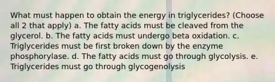 What must happen to obtain the energy in triglycerides? (Choose all 2 that apply) a. The fatty acids must be cleaved from the glycerol. b. The fatty acids must undergo beta oxidation. c. Triglycerides must be first broken down by the enzyme phosphorylase. d. The fatty acids must go through glycolysis. e. Triglycerides must go through glycogenolysis