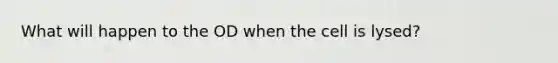 What will happen to the OD when the cell is lysed?