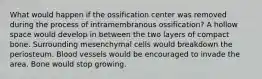 What would happen if the ossification center was removed during the process of intramembranous ossification? A hollow space would develop in between the two layers of compact bone. Surrounding mesenchymal cells would breakdown the periosteum. Blood vessels would be encouraged to invade the area. Bone would stop growing.