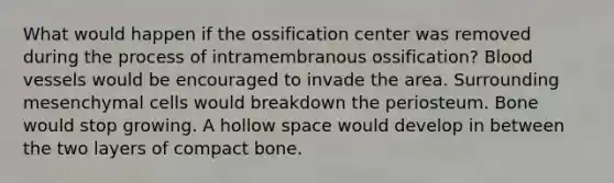 What would happen if the ossification center was removed during the process of intramembranous ossification? Blood vessels would be encouraged to invade the area. Surrounding mesenchymal cells would breakdown the periosteum. Bone would stop growing. A hollow space would develop in between the two layers of compact bone.