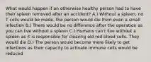 What would happen if an otherwise healthy person had to have their spleen removed after an accident? A.) Without a spleen, no T cells would be made, the person would die from even a small infection B.) There would be no difference after the operation as you can live without a spleen C.) Humans can't live without a spleen as it is responsible for clearing old red blood cells. They would die D.) The person would become more likely to get infections as their capacity to activate immune cells would be reduced