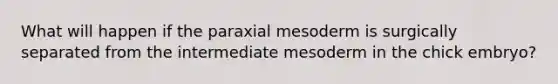 What will happen if the paraxial mesoderm is surgically separated from the intermediate mesoderm in the chick embryo?