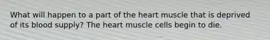 What will happen to a part of the heart muscle that is deprived of its blood supply? The heart muscle cells begin to die.