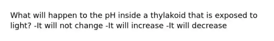 What will happen to the pH inside a thylakoid that is exposed to light? -It will not change -It will increase -It will decrease