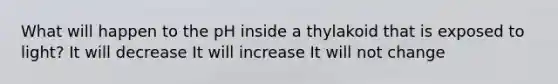 What will happen to the pH inside a thylakoid that is exposed to light? It will decrease It will increase It will not change