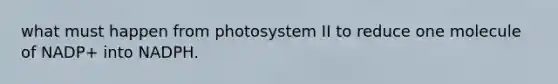 what must happen from photosystem II to reduce one molecule of NADP+ into NADPH.