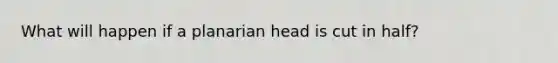 What will happen if a planarian head is cut in half?