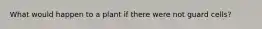 What would happen to a plant if there were not guard cells?