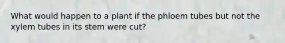 What would happen to a plant if the phloem tubes but not the xylem tubes in its stem were cut?