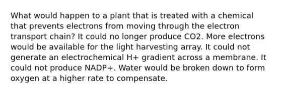 What would happen to a plant that is treated with a chemical that prevents electrons from moving through the electron transport chain? It could no longer produce CO2. More electrons would be available for the light harvesting array. It could not generate an electrochemical H+ gradient across a membrane. It could not produce NADP+. Water would be broken down to form oxygen at a higher rate to compensate.