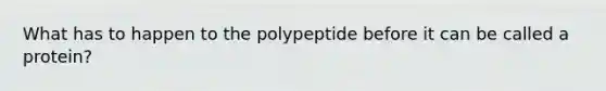 What has to happen to the polypeptide before it can be called a protein?