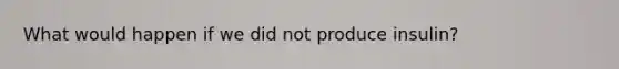 What would happen if we did not produce insulin?