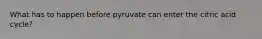 What has to happen before pyruvate can enter the citric acid cycle?