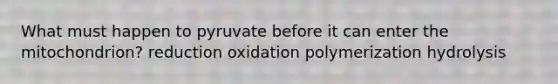 What must happen to pyruvate before it can enter the mitochondrion? reduction oxidation polymerization hydrolysis