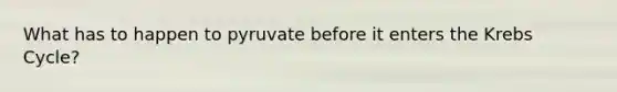 What has to happen to pyruvate before it enters the Krebs Cycle?