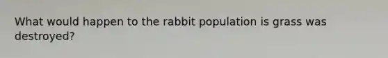 What would happen to the rabbit population is grass was destroyed?