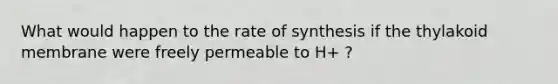 What would happen to the rate of synthesis if the thylakoid membrane were freely permeable to H+ ?