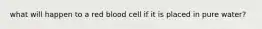 what will happen to a red blood cell if it is placed in pure water?